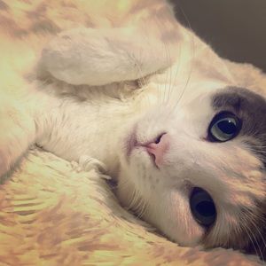 Meet your Posher, Júlia